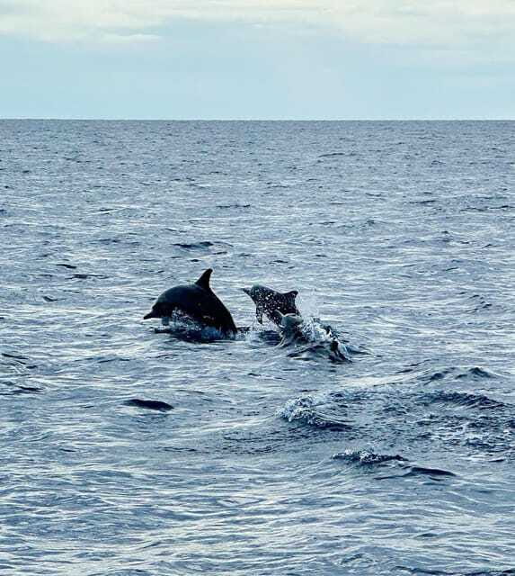 Bohol PREMIUM PAMILACAN Island Tour - Island hopping on Pamilacan: serene sand plus real island life