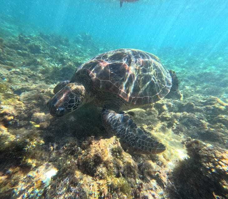Bohol PREMIUM PAMILACAN Island Tour - Lunch included on island time: why it feels like part of the day