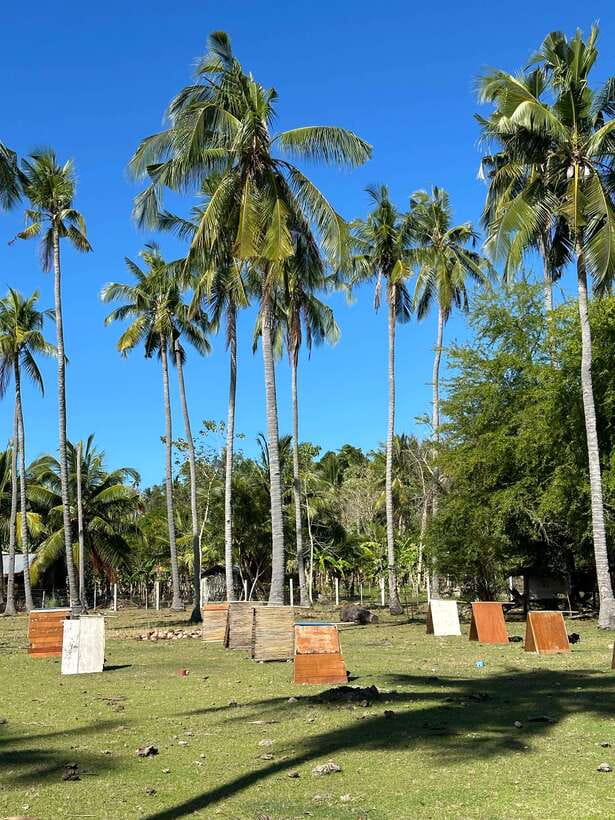 Bohol PREMIUM PAMILACAN Island Tour - Should you book the Bohol Premium Pamilacan Island Tour?