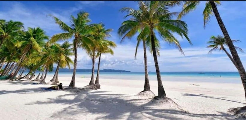 Bohol: Swim with Sea Turtles, Dolphins & Island Hopping Tour - Price and Value: Is $49 a Good Deal for This Day?