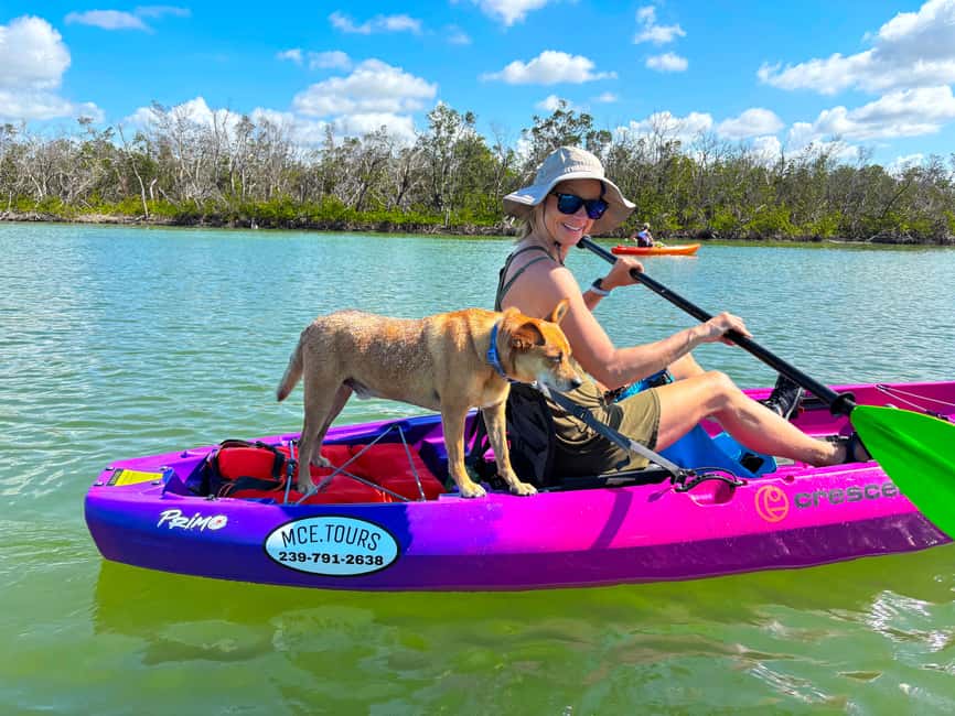 Bonita Springs Clear Kayak Tour with Dolphins & Manatees - The Gear Setup: Comfort Counts More Than You Think