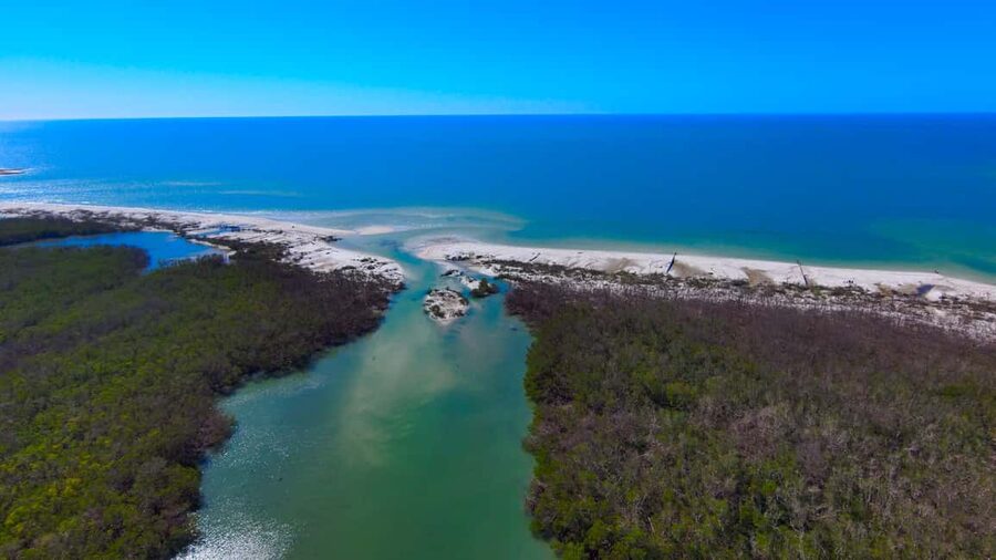 Bonita Springs Clear Kayak Tour with Dolphins & Manatees - Safety Rules You Should Treat Seriously (and Why)