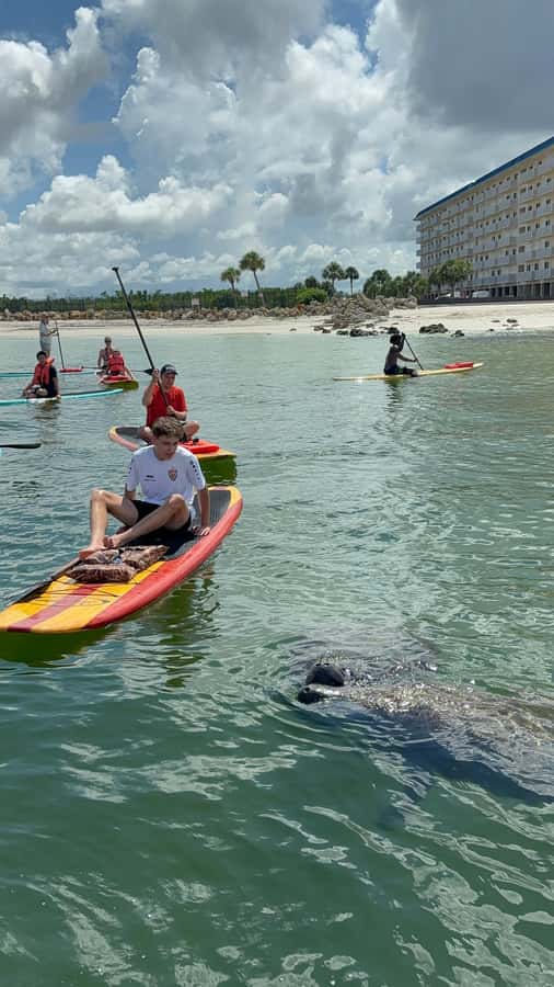 Bonita Springs Dolphin, Manatee & Sea Turtle Adventure Tour! - Booking strategy: choosing the day that improves your odds
