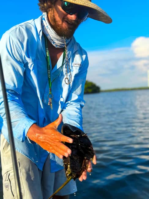 Bonita Springs: Kayak Tour with Manatees, Dolphins Sightings - Wildlife Odds: Manatees, Dolphins, Ospreys, and More