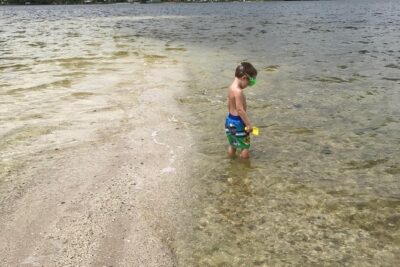 Brevard County Tours, dolphin and manatee tours in Palm Bay, FL - The 2-Hour Flow: From Creek Passages to a Remote Island Stop