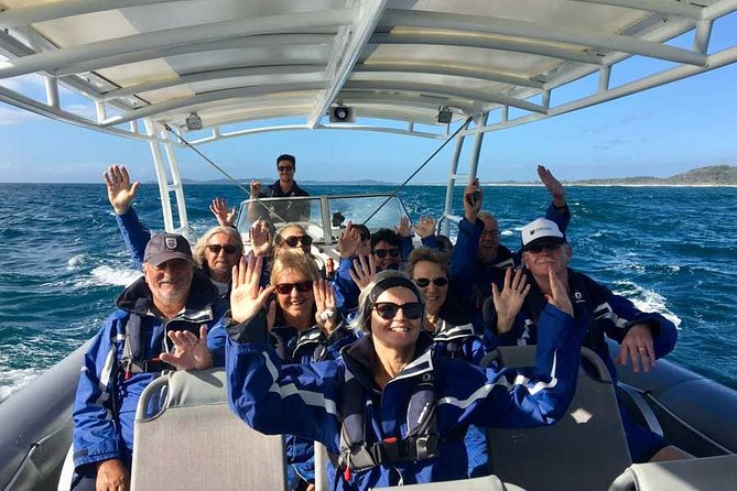 Byron Bay Dolphin Tour - Ocean Safari - Cape Byron Marine Park: why this cruise works