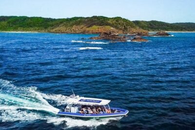 Byron Bay Dolphin Tour - Ocean Safari - The 90-minute Ocean Safari: what to expect on board