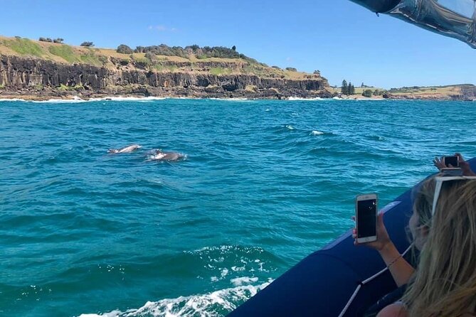 Byron Bay Dolphin Tour - Ocean Safari - Marine biologist onboard: turning sightings into meaning