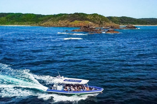Byron Bay Dolphin Tour - Ocean Safari - The 90-minute Ocean Safari: what to expect on board