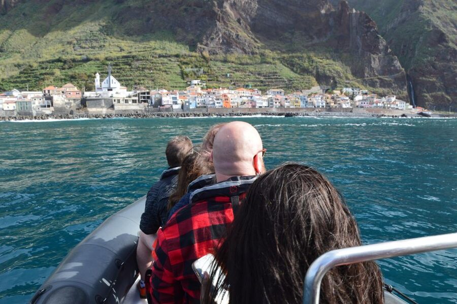 Calheta: Whale & dolphin watching small groups designer tour - Key highlights worth getting excited about