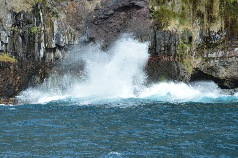 Calheta: Whale & dolphin watching small groups designer tour - Meeting at Marina da Calheta: Finding On Tales without stress