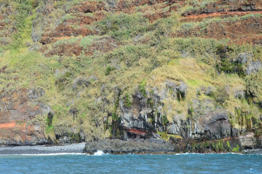 Calheta: Whale & dolphin watching small groups designer tour - The swim and snorkel window: what’s actually included