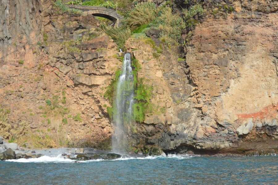 Calheta: Whale & dolphin watching small groups designer tour - Photo stops and souvenir images after the cruise