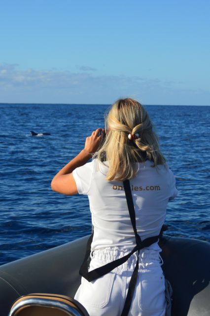 Calheta: Whale & dolphin watching small groups designer tour - Languages and the practical role of the guide