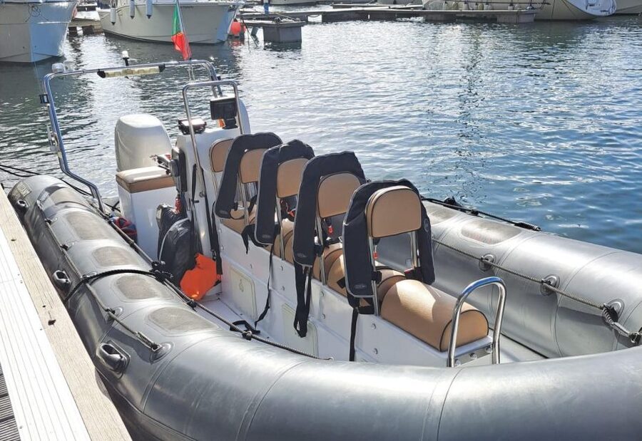 Calheta: Whale & dolphin watching small groups designer tour - A designer speedboat for up to 5 guests