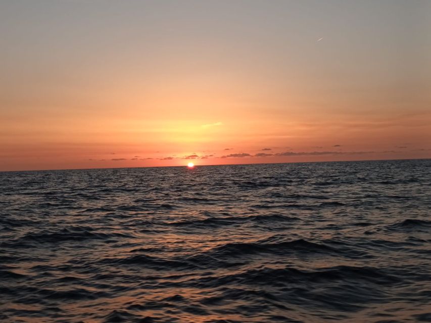 Can Picafort: Dolphin Watching Boat Tour, Swimming stop - What’s Included, What’s Not, and How to Plan Your Day