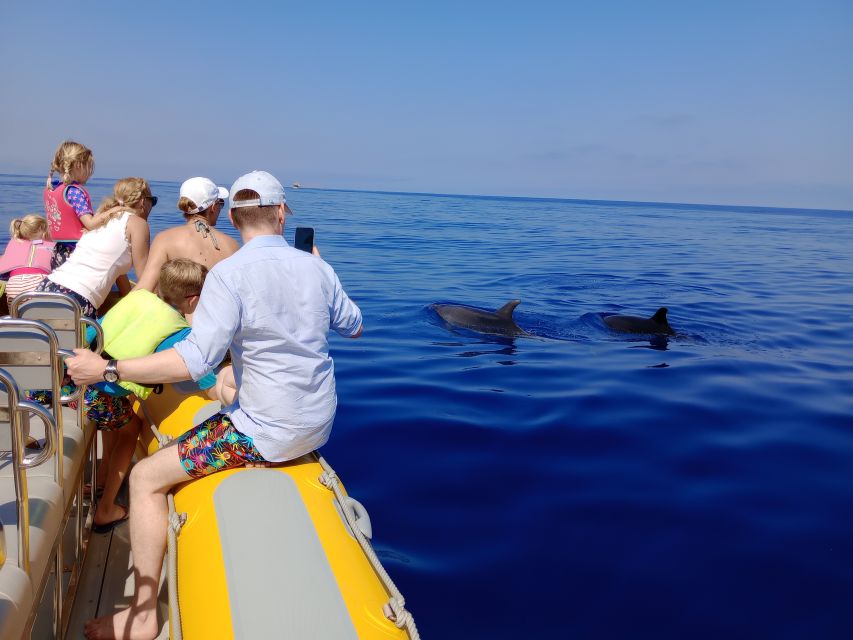 Can Picafort: Dolphin Watching Boat Tour with Swimming - The north-coast cruise: views you’ll remember after the dolphins