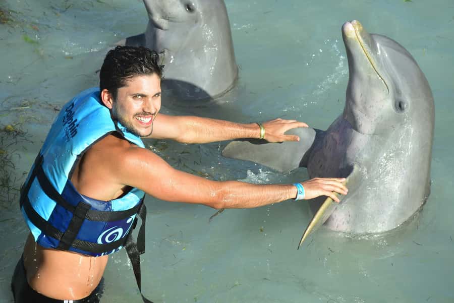 Cancun: Dolphin Encounter on Isla Mujeres and Garrafon Park - Key points