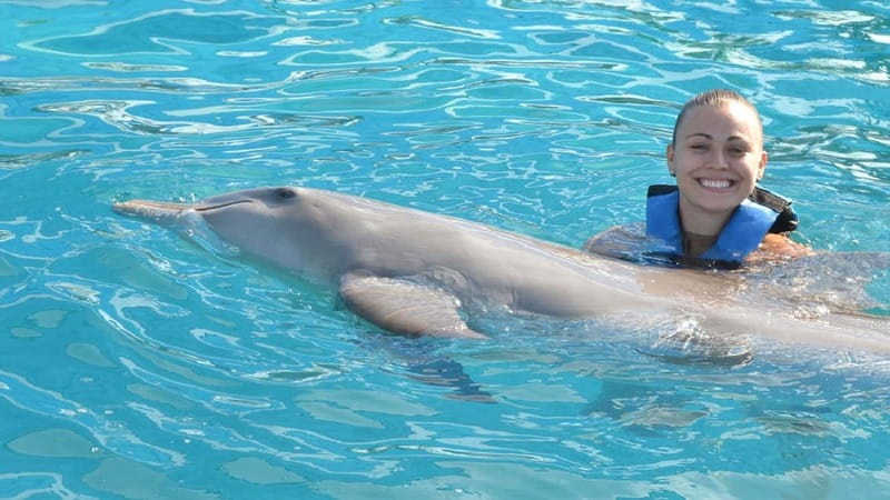 Cancún: Dolphin Encounter on Isla Mujeres with Buffet - Key things to know before you go