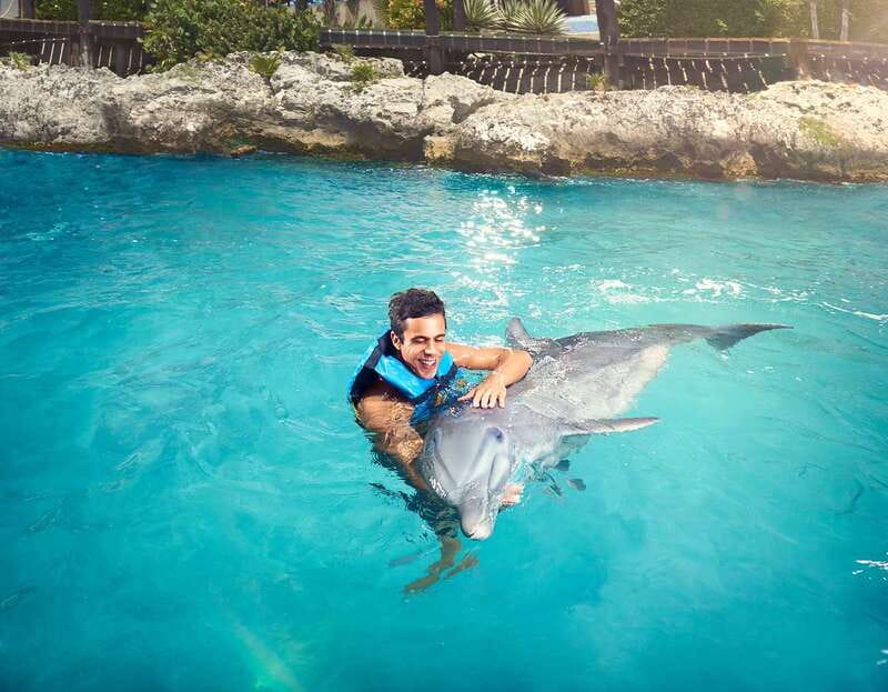 Cancún: Dolphin Encounter on Isla Mujeres with Buffet - Dolphin Discovery at Isla Mujeres: what you actually do