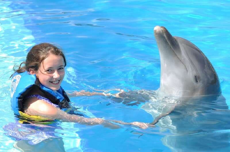 Cancún: Dolphin Encounter on Isla Mujeres with Buffet - The dolphin encounter: underwater platform viewing for non-swimmers