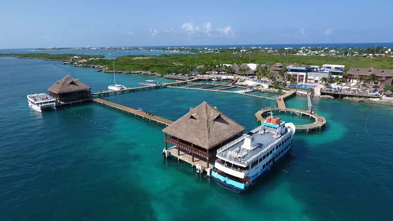 Cancún: Dolphin Encounter on Isla Mujeres with Buffet - The specialist talk and how the eco message fits