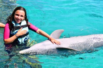 CANCUN: Dolphin Swim Adventure with buffet and soft drinks - The trainer lesson: behavior and physiology that makes the interaction click