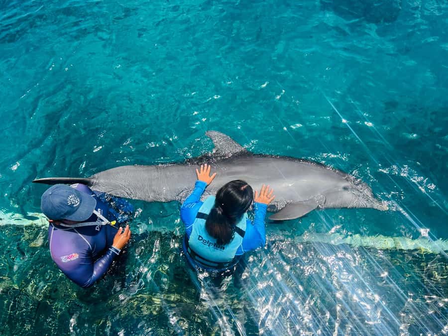 CANCUN: Dolphin Swim Adventure with buffet and soft drinks - Who should go (and who should skip this Dolphin Discovery program)