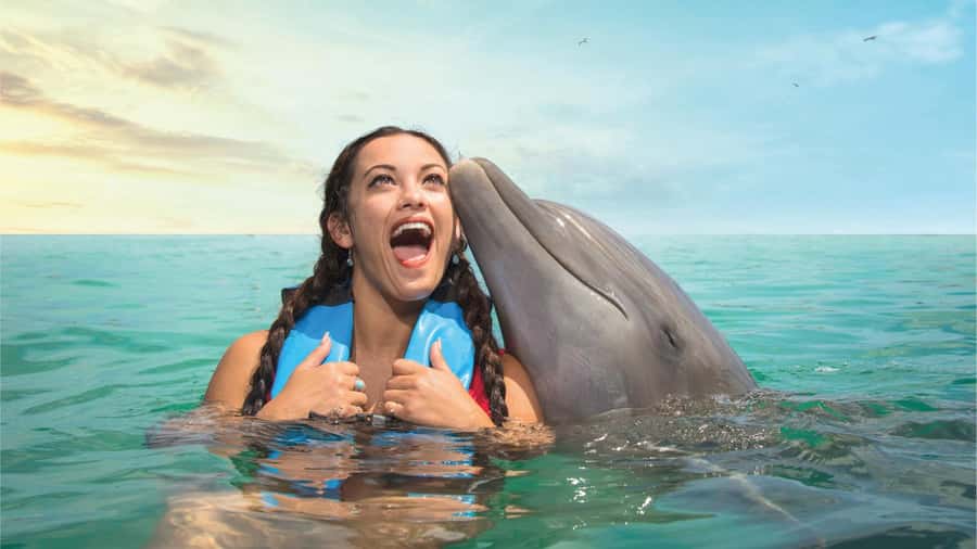 Cancun: Dolphin Swim and Garrafon Reef Park Tour with Buffet - Cancun to Isla Mujeres: the ferry and the meeting point reality check
