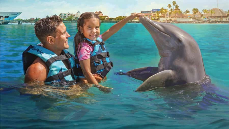 Cancun: Dolphin Swim and Garrafon Reef Park Tour with Buffet - Life jackets, pregnancies, and safety limits that can affect your plans