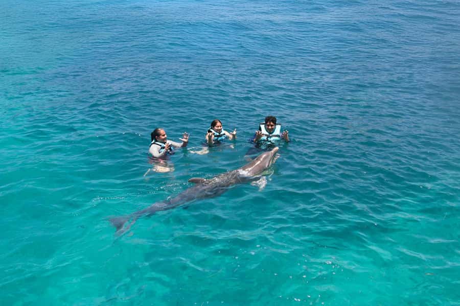 Cancun: Dolphin Swim and Garrafon Reef Park Tour with Buffet - Garrafon Reef Park: zip line, snorkeling, kayaking, and beach downtime