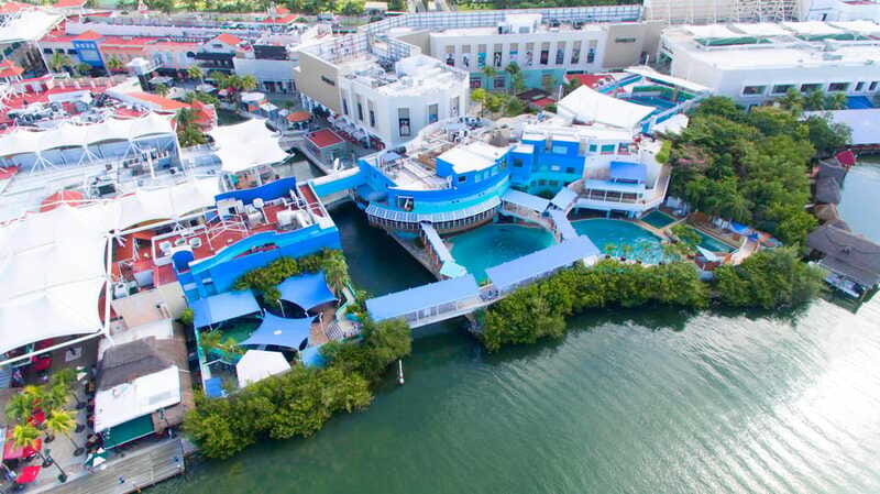 Cancún Interactive Aquarium Admission + Dolphin Presentation - The iPad zone and Axolotl Exhibit: small add-ons that prevent the visit from feeling one-note
