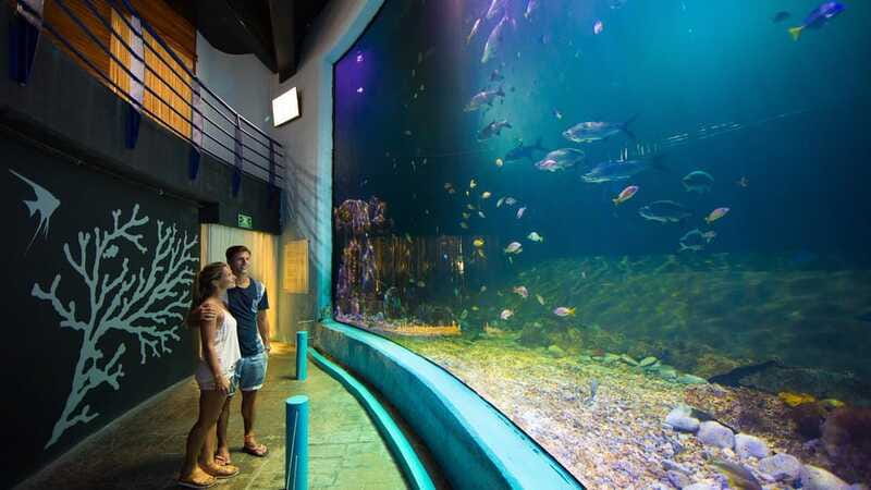 Cancún Interactive Aquarium Admission + Dolphin Presentation - What’s included, what’s not, and how it affects value