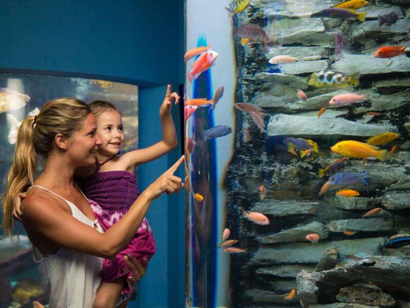 Cancún Interactive Aquarium Admission + Dolphin Presentation - Price and logistics: $26 can be fair or steep, depending on your goal