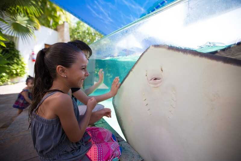 Cancún Interactive Aquarium Admission + Dolphin Presentation - Who should book this experience (and who might want something else)