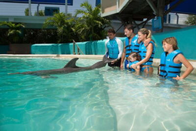 Cancun: Interactive Aquarium - Swim with Dolphins Splash - What happens before you enter the water