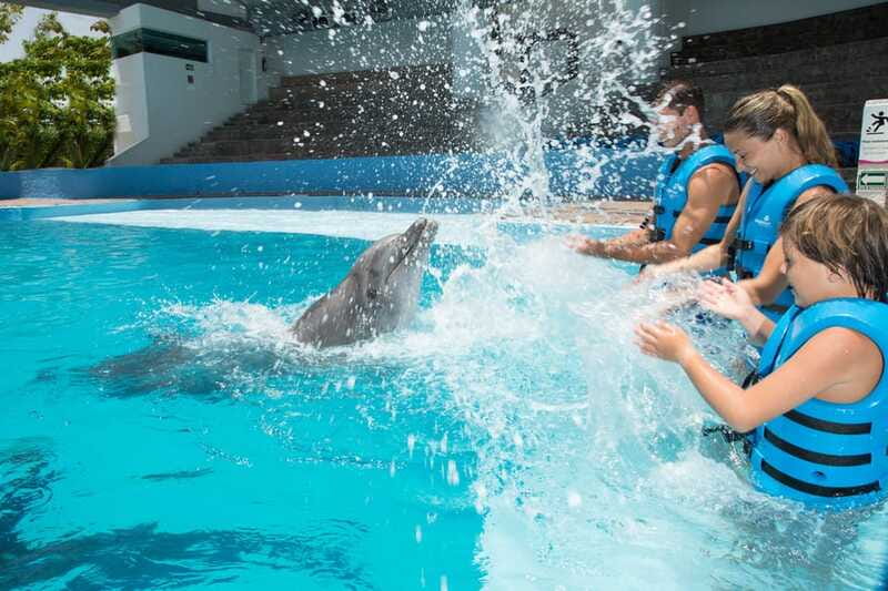 Cancun: Interactive Aquarium - Swim with Dolphins Splash - Price and value: what $127 buys (and what costs extra)