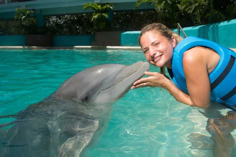 Cancun: Interactive Aquarium - Swim with Dolphins Splash - Where the experience fits into your Cancún day