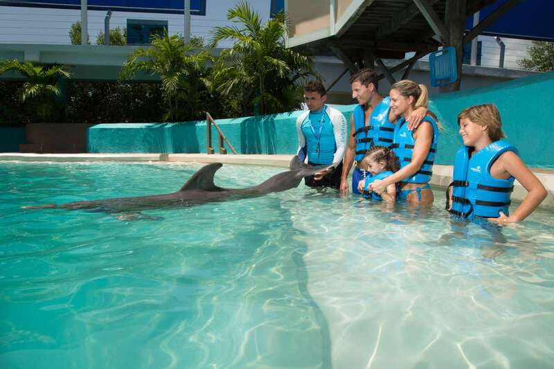 Cancun: Interactive Aquarium Ticket and Swim with Dolphins - Key Takeaways Before You Go