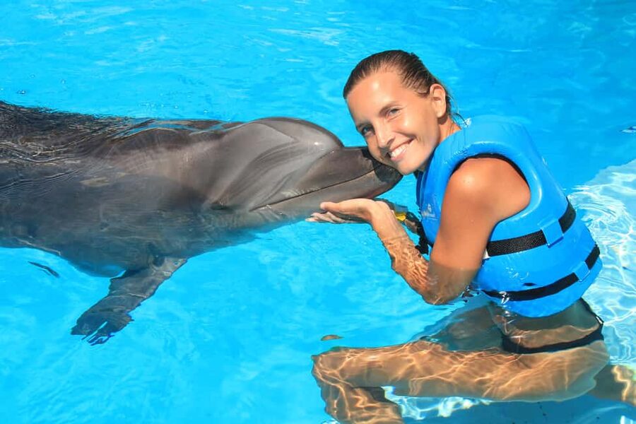 Cancun: Interactive Aquarium Ticket and Swim with Dolphins - Plaza La Isla: Where the Interactive Aquarium Dolphin Session Starts
