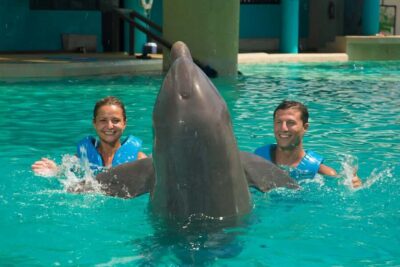 Cancun: Interactive Aquarium Ticket and Swim with Dolphins - Timing: 45 Minutes Total, Then 30 Minutes With the Dolphins