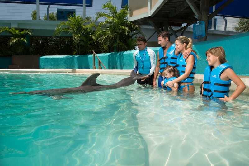 Cancun: Interactive Aquarium Ticket and Swim with Dolphins - Photo and Video Rules: Plan for a Memory Budget