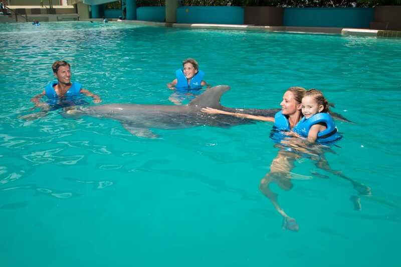 Cancun: Interactive Aquarium Ticket and Swim with Dolphins - What You’ll Actually Need to Bring (And What to Leave Behind)