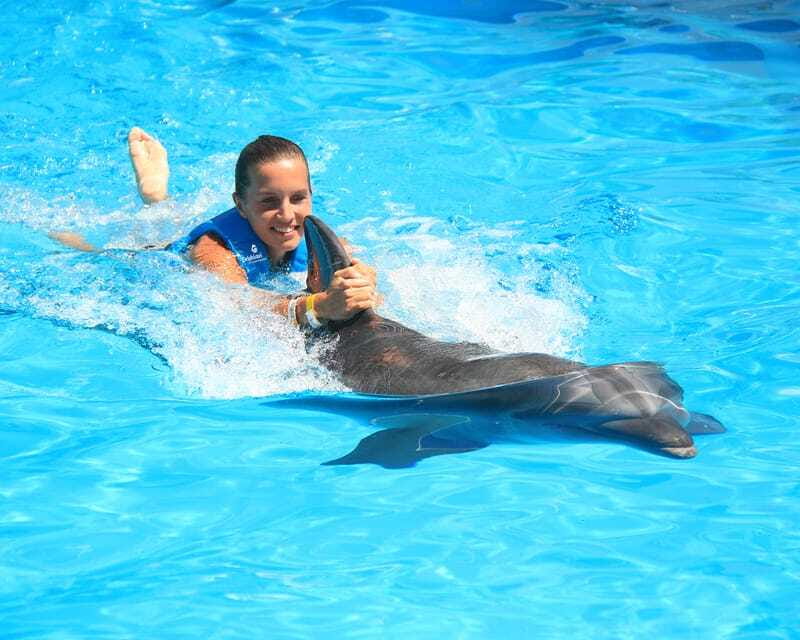 Cancun: Interactive Aquarium Ticket and Swim with Dolphins - Small-Group Size: Up to 6 (and Limited Overall)