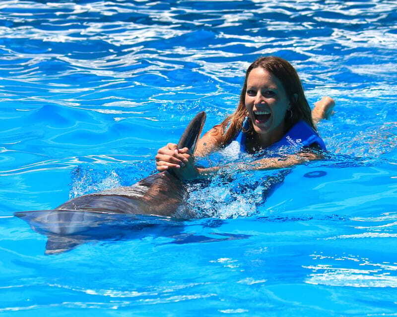 Cancun: Interactive Aquarium Ticket and Swim with Dolphins - Getting the Most From Your 45-Minute Dolphin Session