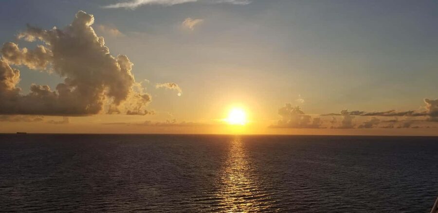 Cape Coral: Private Dolphin and Sunset Cruise - Dolphin time: what to expect during the cruise