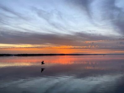 Cape Coral: Private Dolphin and Sunset Cruise - Golden hour on the Gulf: the front-row sunset payoff