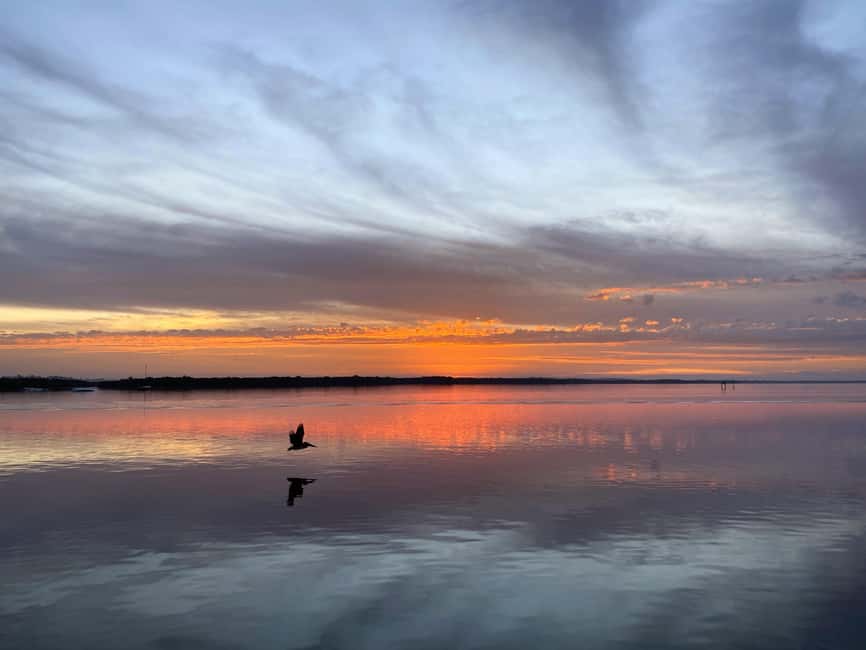Cape Coral: Private Dolphin and Sunset Cruise - Golden hour on the Gulf: the front-row sunset payoff