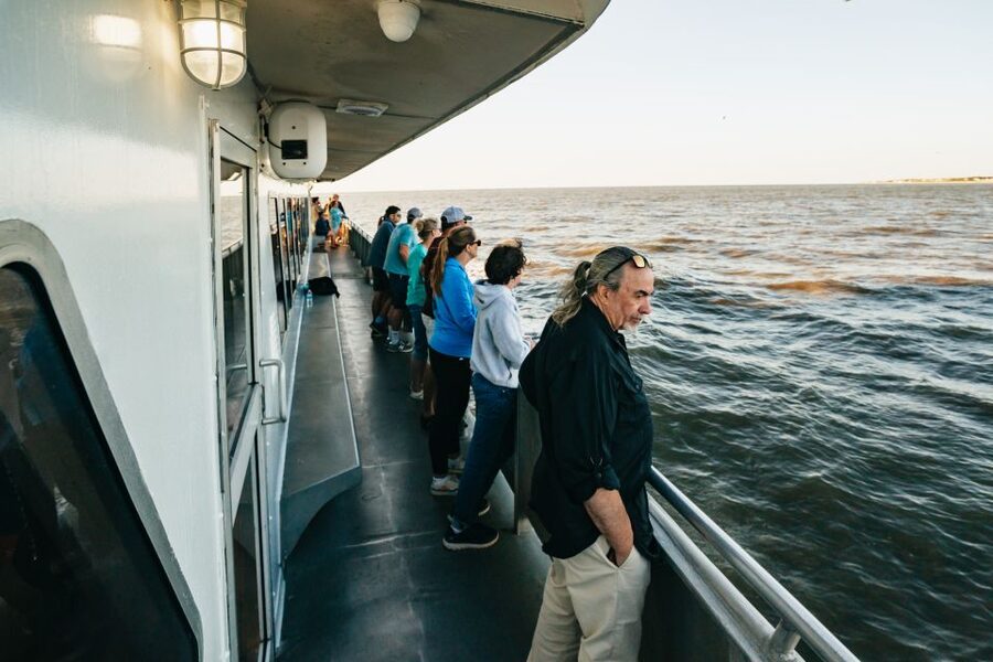 Cape May: Cape May Island Sunset Cruise & Dolphin Watching - Dolphin Watching With Captain Jeff: How the Search Works