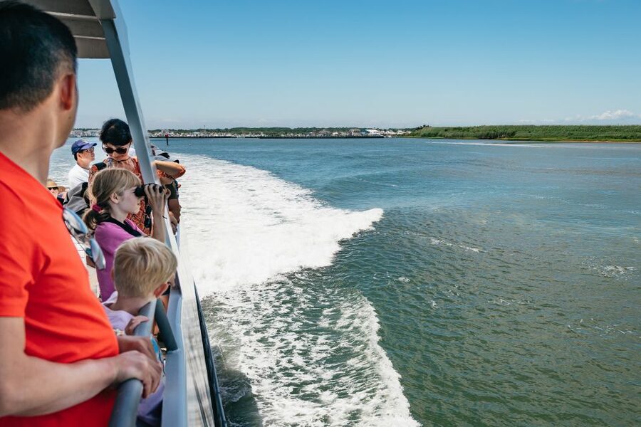 Cape May: Jersey Shore Whale and Dolphin Watching Cruise - The guide experience: what the narration adds